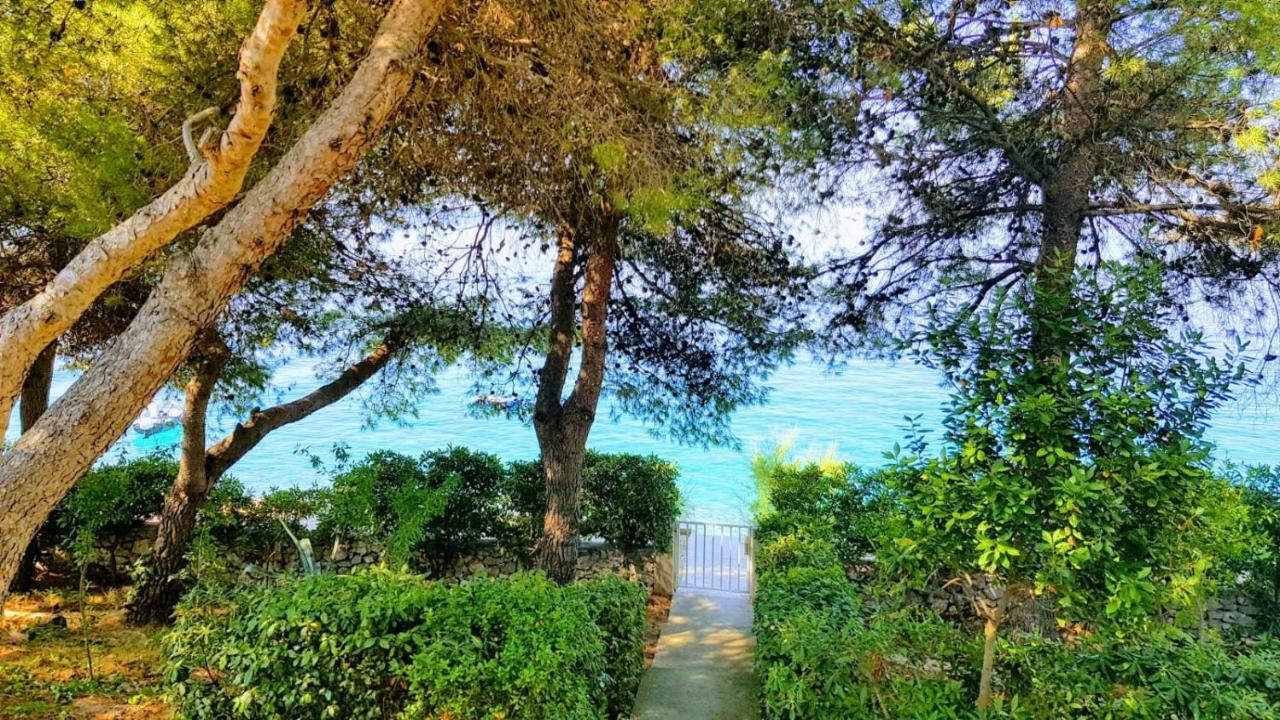 Villa Maja تروغير المظهر الخارجي الصورة