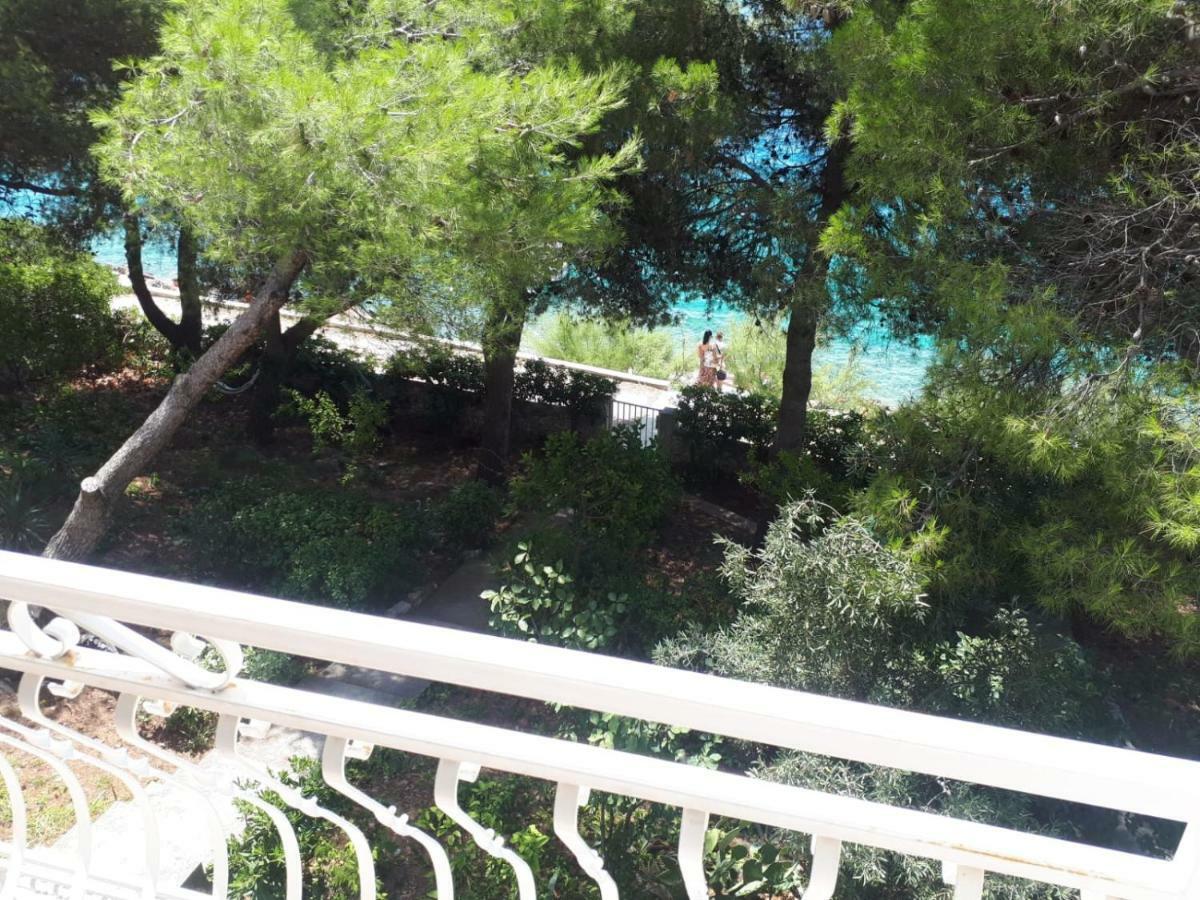 Villa Maja تروغير المظهر الخارجي الصورة
